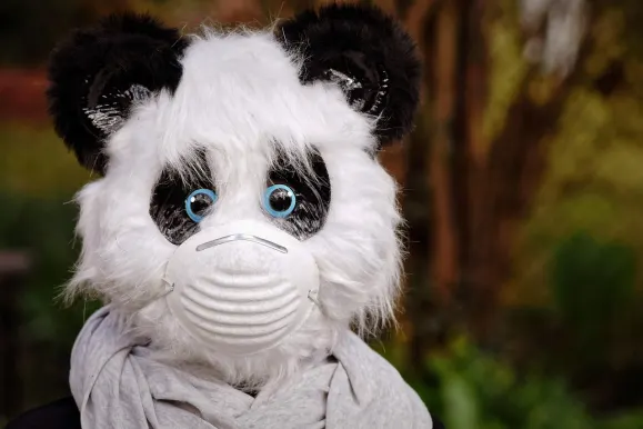 HeySpin Casino Ondersteuning